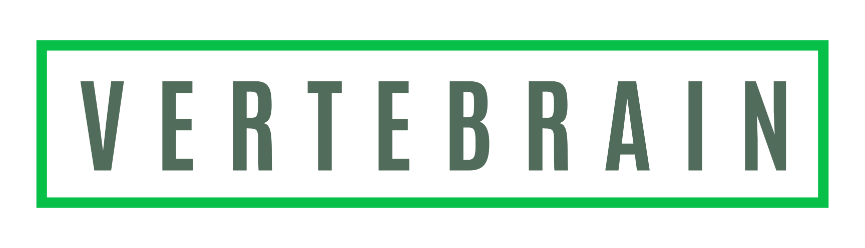 Vertebrain